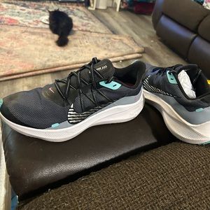 Women’s NIKE tennis shoes Size 10